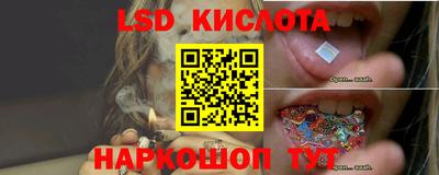 спайс Коммунар