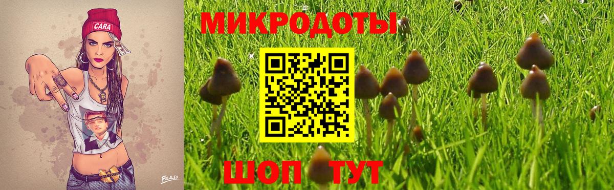 Псилоцибиновые грибы Psilocybine cubensis  Вход с VPN  Псилоцибиновые грибы прущие грибы  Кузнецк 